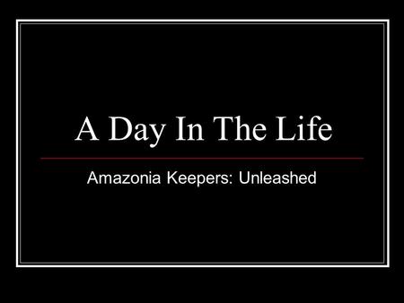 A Day In The Life Amazonia Keepers: Unleashed. 365 days a year, rain or shine…