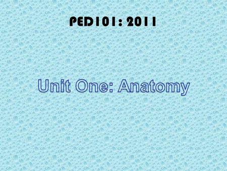 PED101: 2011. Anatomical Directions The anatomical position Important things to note: 1.Standing 2.Feet together 3.Arms to side 4.Head, eyes and palms.