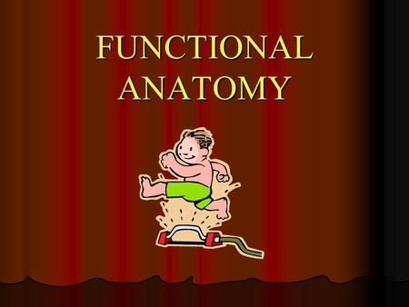 FUNCTIONAL ANATOMY. Skeletal System What is the Skeletal System? What is the Skeletal System? It is the bones, tendons, ligaments and cartilage that connects.
