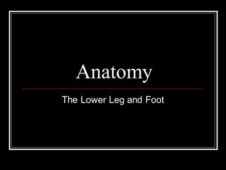 Anatomy The Lower Leg and Foot. Why Study Anatomy ?? Increase knowledge of the body systems and how it relates to salon services. Improves performance.