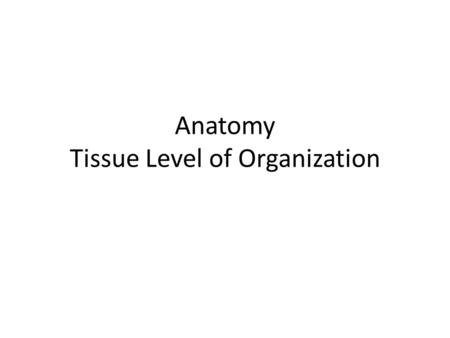 Anatomy Tissue Level of Organization. FIVE TYPES OF TISSUE Epithelia Connective Membranes Muscle Neural.