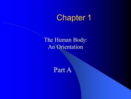 Chapter 1 The Human Body: An Orientation Part A Overview of Anatomy and Physiology Anatomy – the study of the structure of body parts and their relationships.