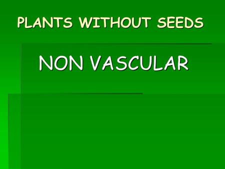 PLANTS WITHOUT SEEDS NON VASCULAR. 2 TYPES OF PLANTS  NONVASCULAR:  plants that DO NOT have tubes that carry water and food throughout the plant  VASCULAR.