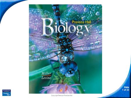 Slide 1 of 33 Copyright Pearson Prentice Hall Biology.
