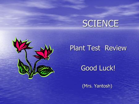 SCIENCE Plant Test Review Plant Test Review Good Luck! Good Luck! (Mrs. Yantosh)