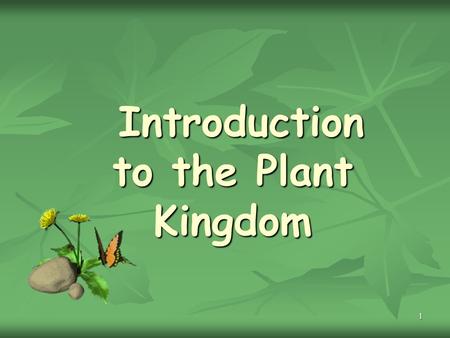 1 Introduction to the Plant Kingdom Introduction to the Plant Kingdom.