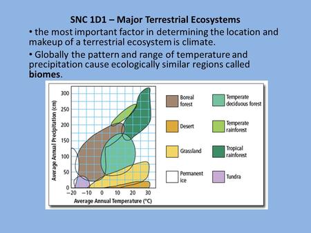 SNC 1D1 – Major Terrestrial Ecosystems