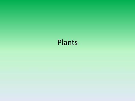 Plants. Plant Cells Cell walls  provide protection and structure Conduct photosynthesis – Use chlorophyll in organelle chloroplast to do it.