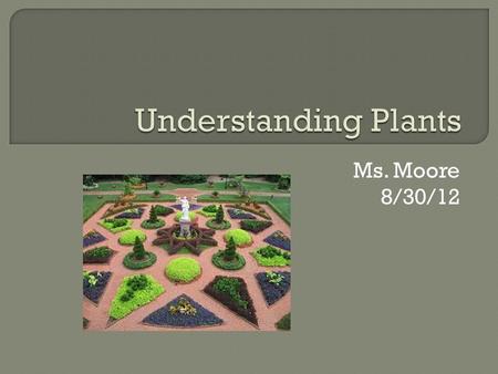 Ms. Moore 8/30/12.  Plants are: Multicellular Eukaryotes Photosynthesis using chlorophyll Most are autotrophs (some can be parasites or saprobes that.