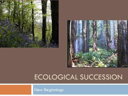 ECOLOGICAL SUCCESSION New Beginnings. Changing Ecosystems  Ecosystems are constantly changing  What might cause a change in an ecosystem??  Human interference.