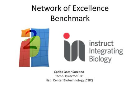 Network of Excellence Benchmark Carlos Oscar Sorzano Techn. Director I 2 PC Natl. Center Biotechnology (CSIC)