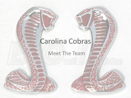 Carolina Cobras Meet The Team.