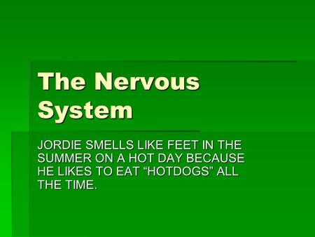 The Nervous System JORDIE SMELLS LIKE FEET IN THE SUMMER ON A HOT DAY BECAUSE HE LIKES TO EAT “HOTDOGS” ALL THE TIME.