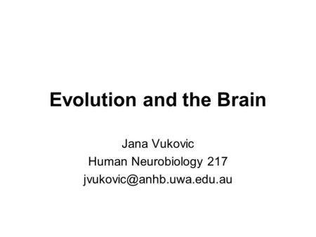 Evolution and the Brain