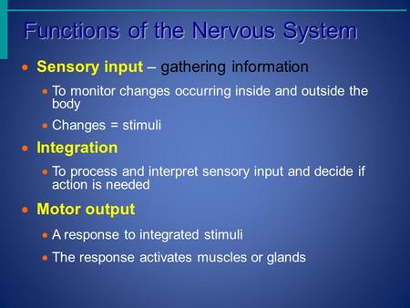 Functions of the Nervous System Functions of the Nervous System  Sensory input – gathering information  To monitor changes occurring inside and outside.