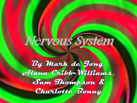 Nervous System By Mark de Jong, Alana Cribb-Williams, Sam Thompson & Charlotte Bonny.