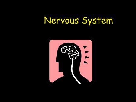 Nervous System. Learning Outcomes Understand the role of the Nervous System Understand what Stimuli, Receptors and Effectors are Understand what the role.