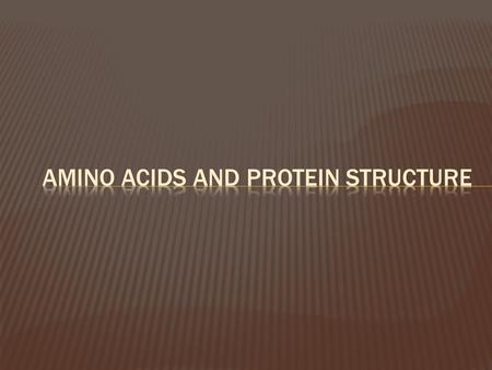  Four levels of protein structure  Linear  Sub-Structure  3D Structure  Complex Structure.