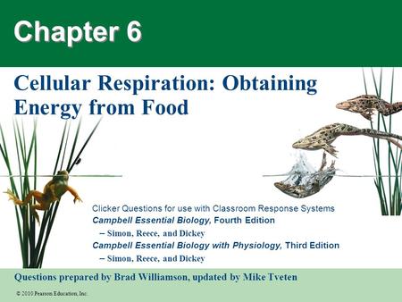 © 2010 Pearson Education, Inc. Clicker Questions for use with Classroom Response Systems Campbell Essential Biology, Fourth Edition – Simon, Reece, and.