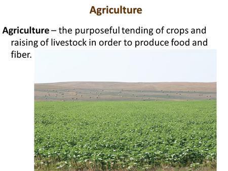 Agriculture Agriculture – the purposeful tending of crops and raising of livestock in order to produce food and fiber.