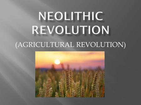 (AGRICULTURAL REVOLUTION).  Paleolithic-  “Old Stone Age.”  Mesolithic-  “Middle Stone Age.”  2,000,000 BC – 10,000 BC-  Hunter-Gatherers-  Searching.