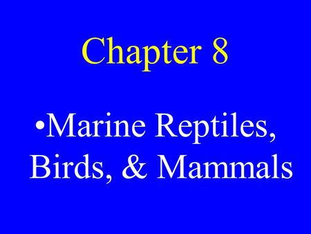 Chapter 8 Marine Reptiles, Birds, & Mammals. Tetrapods Four footed animals.
