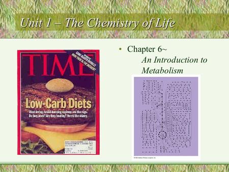Unit 1 – The Chemistry of Life Chapter 6~ An Introduction to Metabolism.