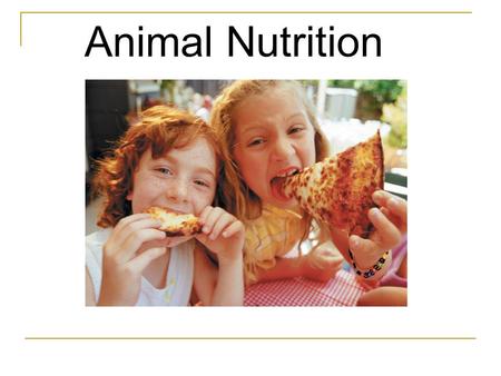 Animal Nutrition. Nutrition: food taken in, food taken apart, food taken up.