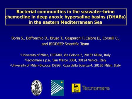 Bacterial communities in the seawater-brine chemocline in deep anoxic hypersaline basins (DHABs) in the eastern Mediterranean Sea Borin S., Daffonchio.