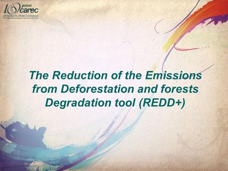 The Reduction of the Emissions from Deforestation and forests Degradation tool (REDD+)