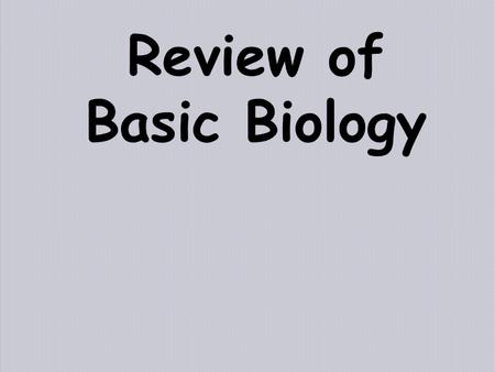 Review of Basic Biology. I. Biochemistry A. Macromolecules of Life Carbohydrates Lipids Proteins Nucleic Acids (DNA)