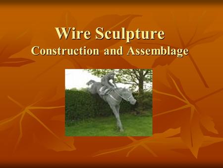 Wire Sculpture Construction and Assemblage