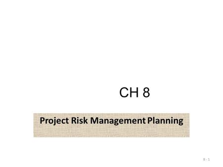 Project Risk Management Planning