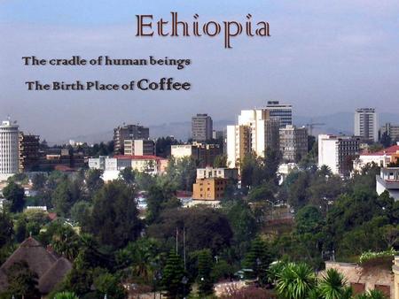 Ethiopia The cradle of human beings The Birth Place of Coffee The cradle of human beings The Birth Place of Coffee.
