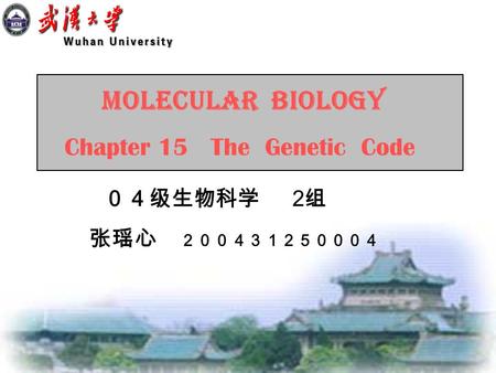 ０４级生物科学 2 组 张瑶心 ２００４３１２５０００４ MOLECULAR BIOLOGY Chapter 15 The Genetic Code.