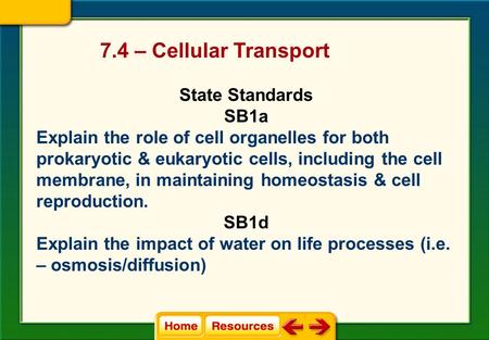 7.4 – Cellular Transport State Standards SB1a Explain the role of cell organelles for both prokaryotic & eukaryotic cells, including the cell membrane,