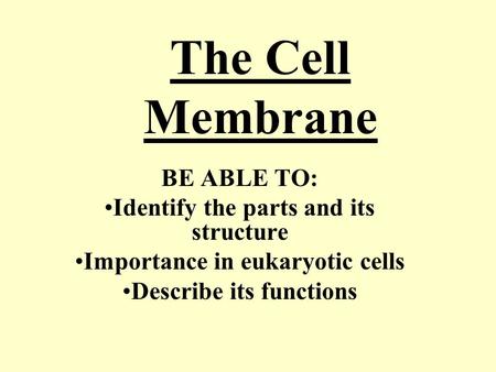 The Cell Membrane BE ABLE TO: Identify the parts and its structure Importance in eukaryotic cells Describe its functions.