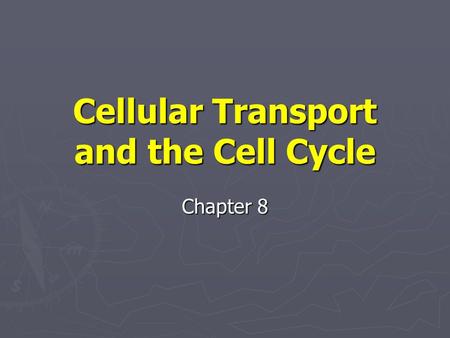 Cellular Transport and the Cell Cycle