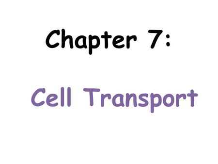 Chapter 7: Cell Transport. Structure of the cell membrane: