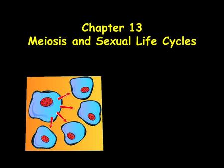 Chapter 13 Meiosis and Sexual Life Cycles. Asexual reproduction: Single individual is sole parent, passes copies of all its genes to its offspring (exact.