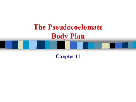 The Pseudocoelomate Body Plan Chapter 11. Aschelminths –Any of the seven phyla grouped together –Rotifera, Kinorhyncha, Nematoda, Nematomorpha, Acanthocephala,