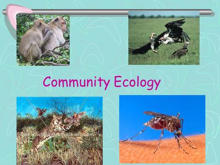 Community Ecology. Ways organisms interact ______________________ Between SAME and DIFFERENT kinds of organisms Compete with each other for available.