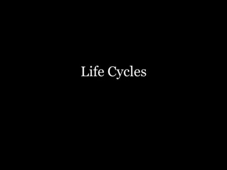 Life Cycles. What is a Life Cycle? Series of orderly and identifiable changes that occur over time in both plants and animals.