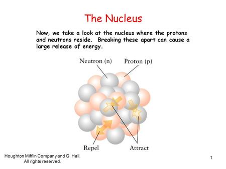 Houghton Mifflin Company and G. Hall. All rights reserved. 1 The Nucleus Now, we take a look at the nucleus where the protons and neutrons reside. Breaking.