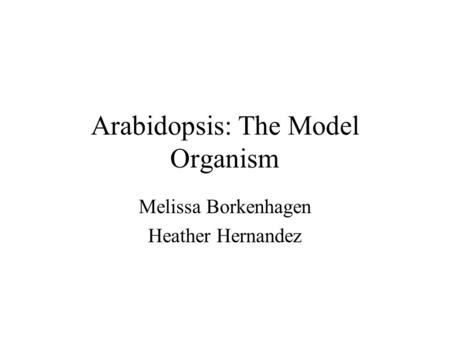 Arabidopsis: The Model Organism Melissa Borkenhagen Heather Hernandez.