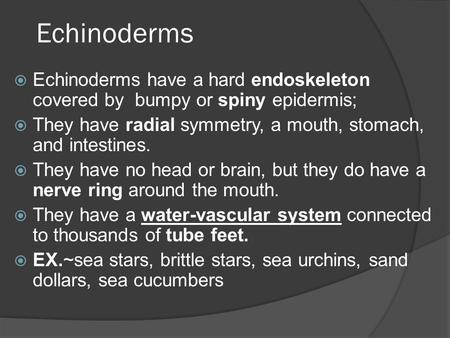 Echinoderms Echinoderms have a hard endoskeleton covered by bumpy or spiny epidermis; They have radial symmetry, a mouth, stomach, and intestines. They.