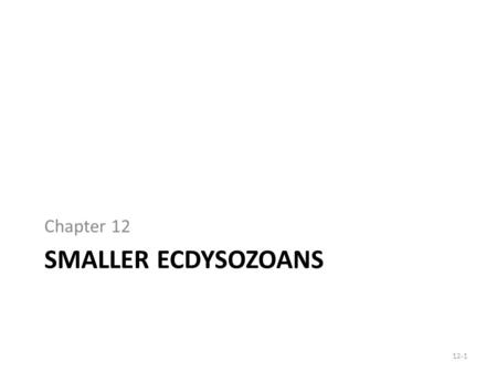 Chapter 12 Smaller Ecdysozoans.