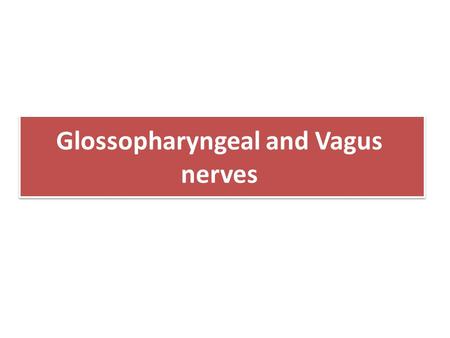 Glossopharyngeal and Vagus nerves