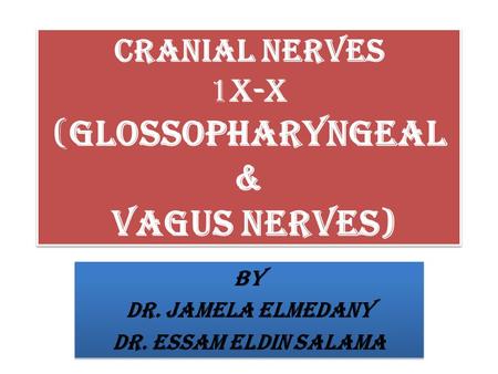 Cranial Nerves 1X-X (Glossopharyngeal & Vagus Nerves)