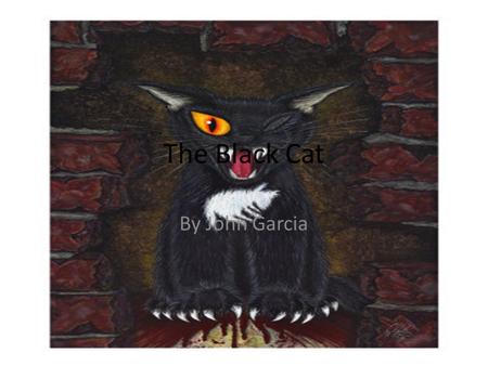 The Black Cat By John Garcia.